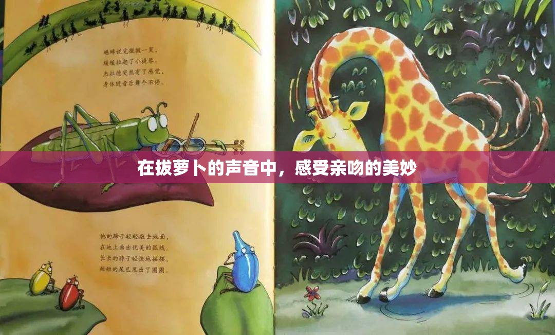 在拔萝卜的声音中，感受亲吻的美妙