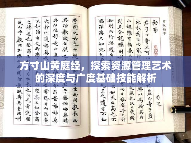 方寸山黄庭经，探索资源管理艺术的深度与广度基础技能解析