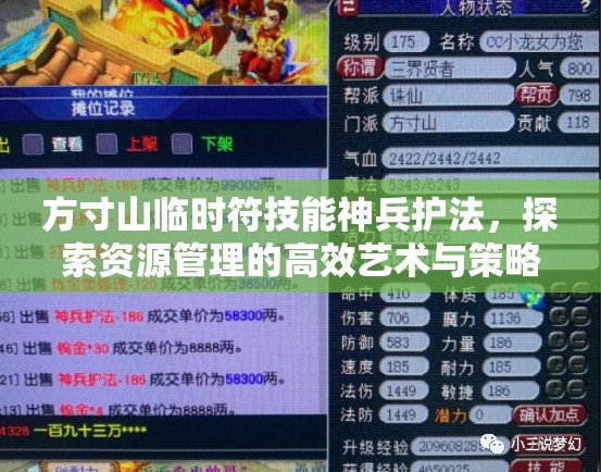 方寸山临时符技能神兵护法，探索资源管理的高效艺术与策略