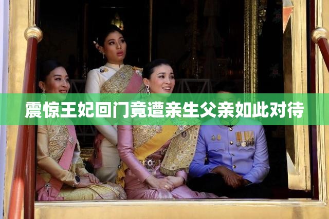 震惊王妃回门竟遭亲生父亲如此对待