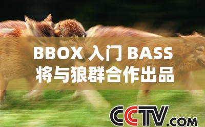 BBOX 入门 BASS 将与狼群合作出品？平台：开启音乐与合作的新纪元