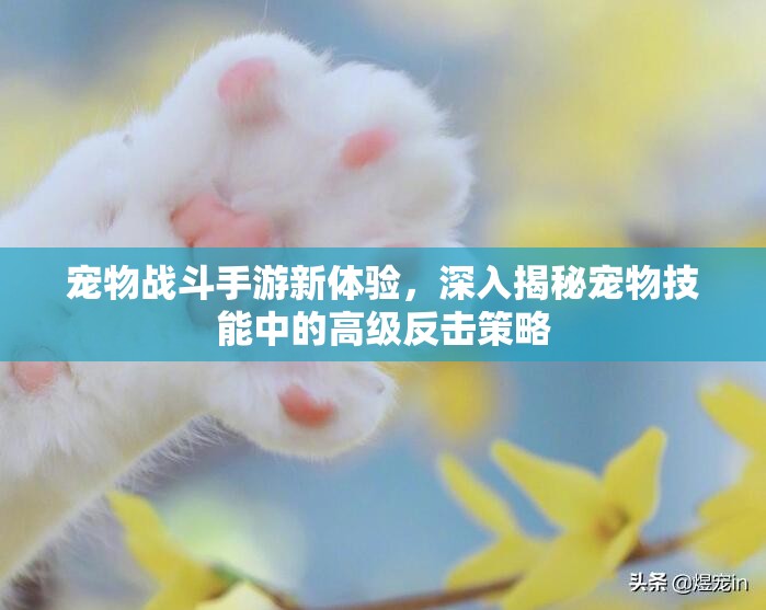 宠物战斗手游新体验，深入揭秘宠物技能中的高级反击策略
