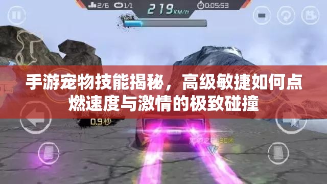 手游宠物技能揭秘，高级敏捷如何点燃速度与激情的极致碰撞