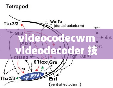 videocodecwmvideodecoder 技术原理与应用场景探讨