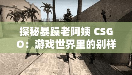 探秘暴躁老阿姨 CSGO：游戏世界里的别样风采