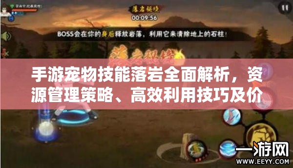 手游宠物技能落岩全面解析，资源管理策略、高效利用技巧及价值最大化指南