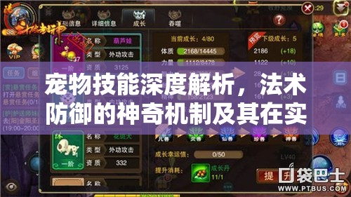 宠物技能深度解析，法术防御的神奇机制及其在实战中的巧妙运用