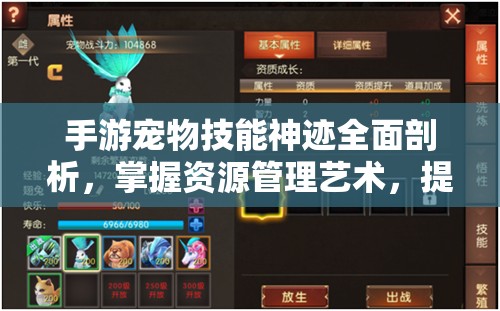 手游宠物技能神迹全面剖析，掌握资源管理艺术，提升战斗效能