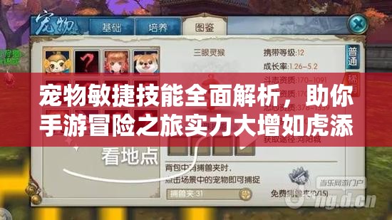 宠物敏捷技能全面解析，助你手游冒险之旅实力大增如虎添翼