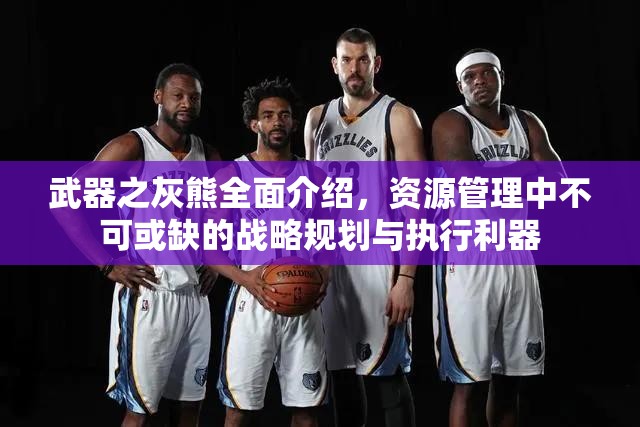 武器之灰熊全面介绍，资源管理中不可或缺的战略规划与执行利器