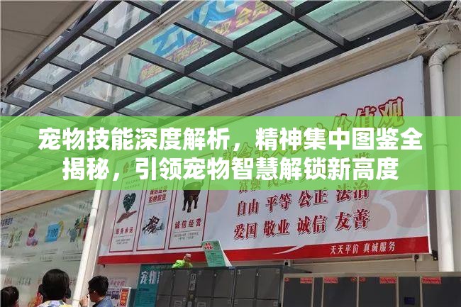 宠物技能深度解析，精神集中图鉴全揭秘，引领宠物智慧解锁新高度
