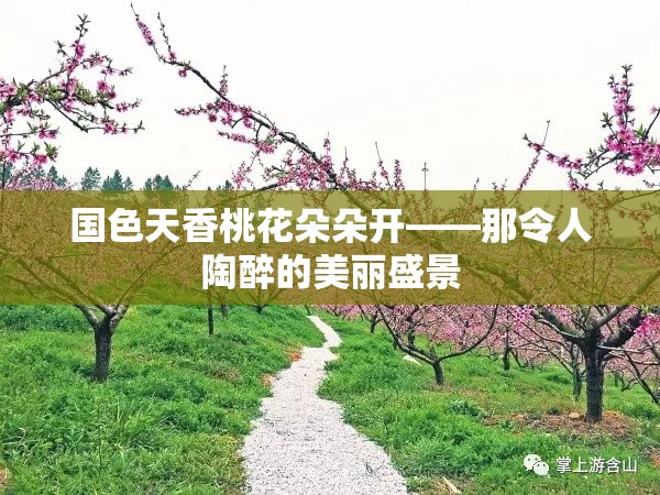 国色天香桃花朵朵开——那令人陶醉的美丽盛景