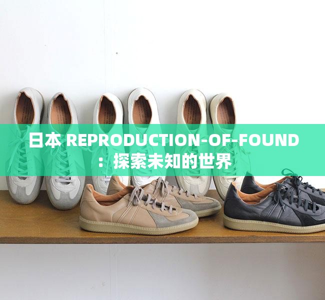 日本 REPRODUCTION-OF-FOUND：探索未知的世界