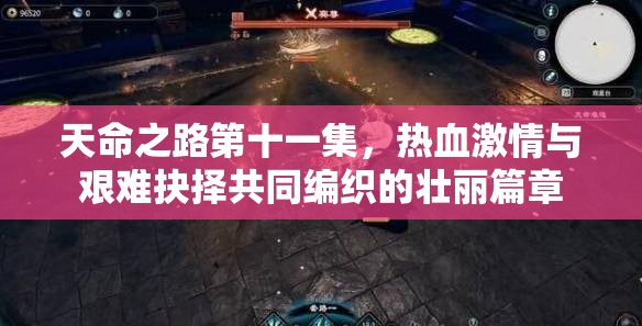 天命之路第十一集，热血激情与艰难抉择共同编织的壮丽篇章