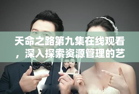 天命之路第九集在线观看，深入探索资源管理的艺术与策略精髓