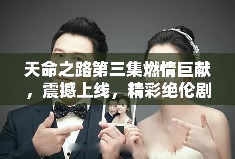 天命之路第三集燃情巨献，震撼上线，精彩绝伦剧情绝对不容您错过！