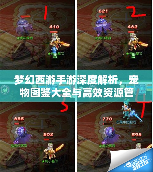 梦幻西游手游深度解析，宠物图鉴大全与高效资源管理艺术