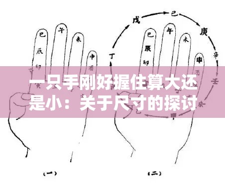 一只手刚好握住算大还是小：关于尺寸的探讨