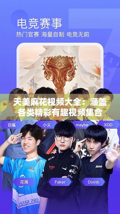 天美麻花视频大全：涵盖各类精彩有趣视频集合