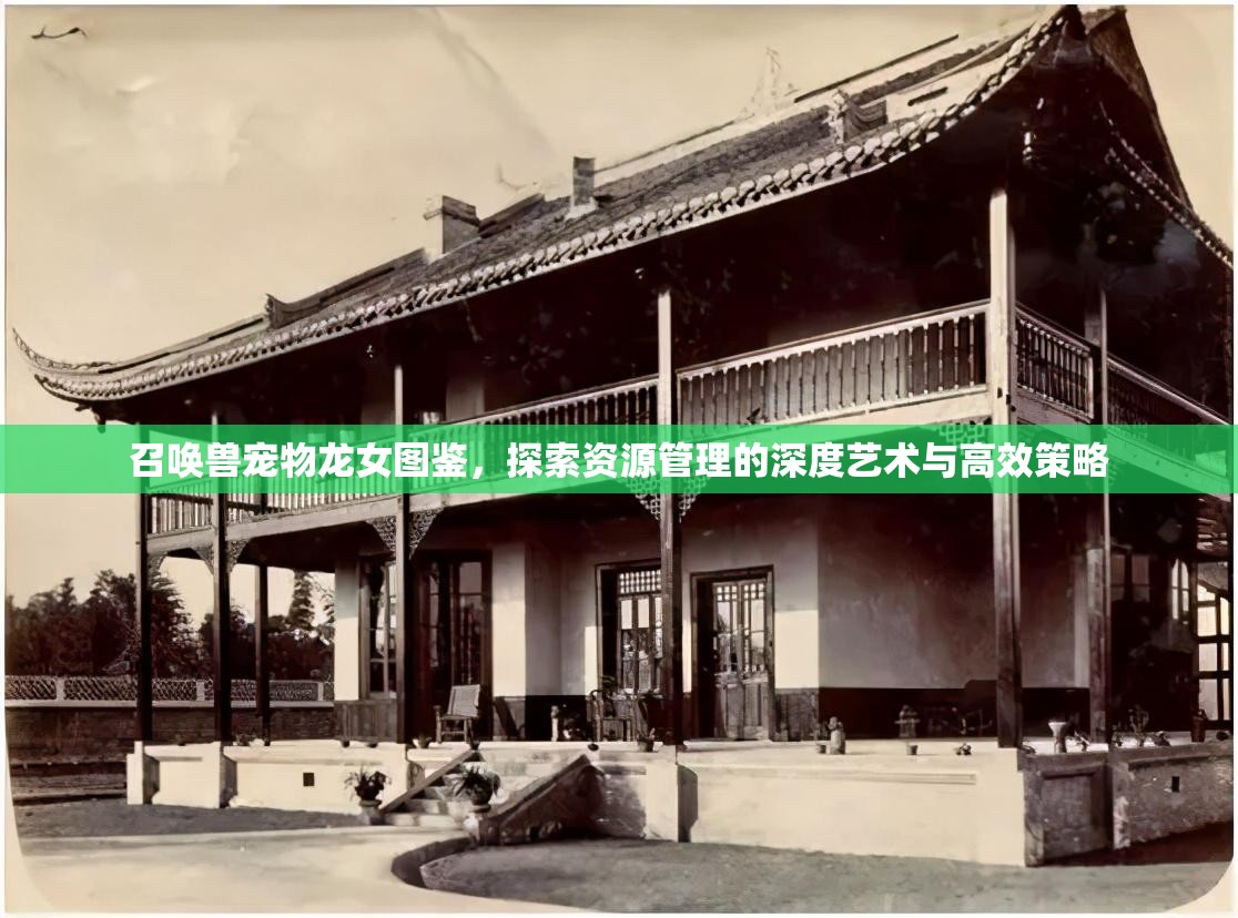 召唤兽宠物龙女图鉴，探索资源管理的深度艺术与高效策略