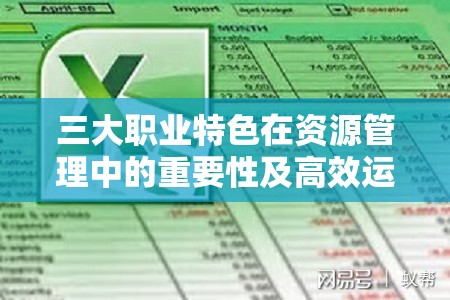 三大职业特色在资源管理中的重要性及高效运用策略解析
