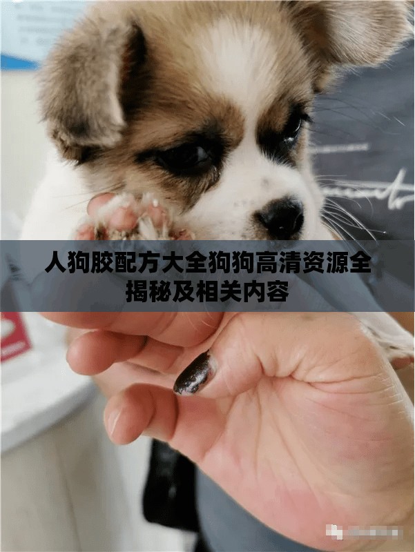 人狗胶配方大全狗狗高清资源全揭秘及相关内容