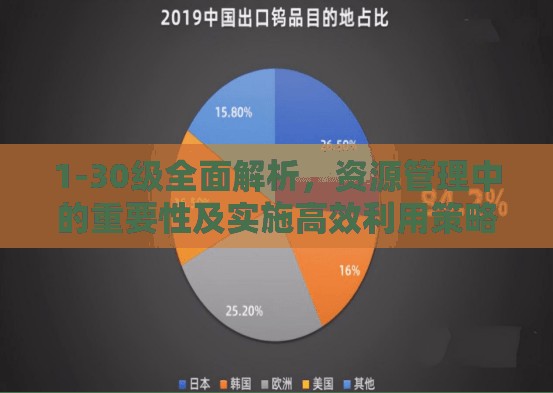 1-30级全面解析，资源管理中的重要性及实施高效利用策略指南