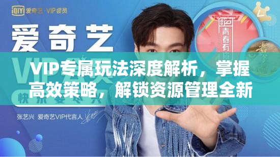 VIP专属玩法深度解析，掌握高效策略，解锁资源管理全新高度与境界