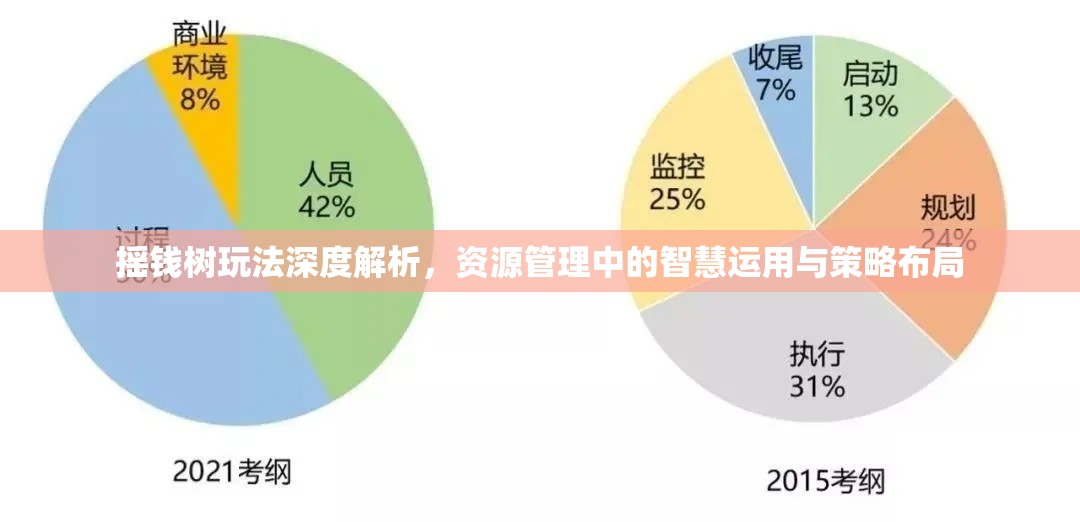 摇钱树玩法深度解析，资源管理中的智慧运用与策略布局