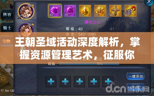 王朝圣域活动深度解析，掌握资源管理艺术，征服你的王国领域
