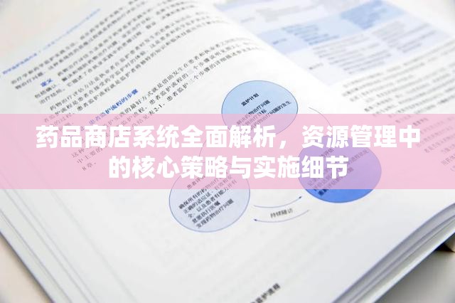 药品商店系统全面解析，资源管理中的核心策略与实施细节