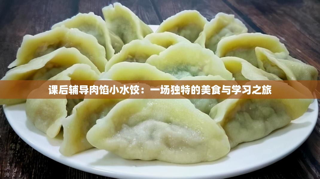 课后辅导肉馅小水饺：一场独特的美食与学习之旅