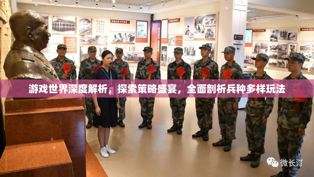 游戏世界深度解析，探索策略盛宴，全面剖析兵种多样玩法
