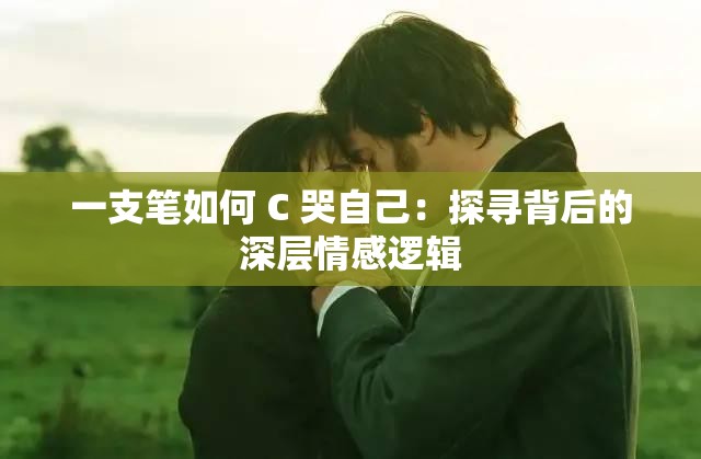 一支笔如何 C 哭自己：探寻背后的深层情感逻辑