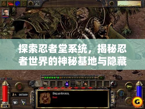 探索忍者堂系统，揭秘忍者世界的神秘基地与隐藏秘密