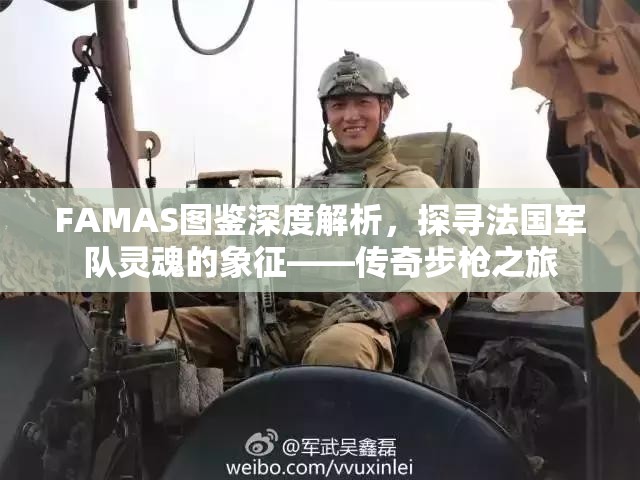 FAMAS图鉴深度解析，探寻法国军队灵魂的象征——传奇步枪之旅