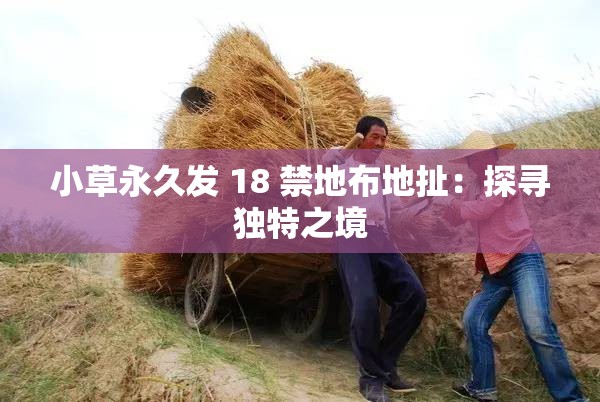 小草永久发 18 禁地布地扯：探寻独特之境