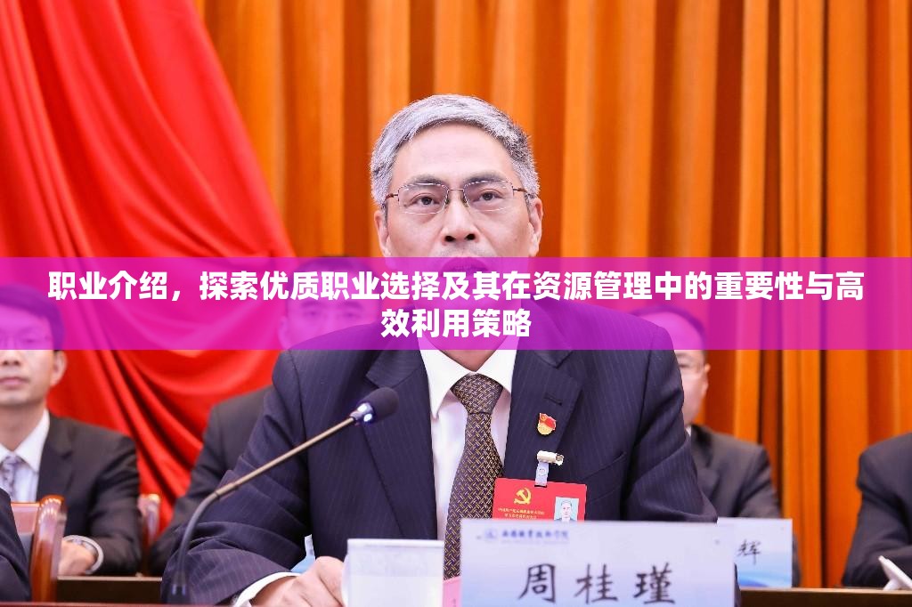 职业介绍，探索优质职业选择及其在资源管理中的重要性与高效利用策略
