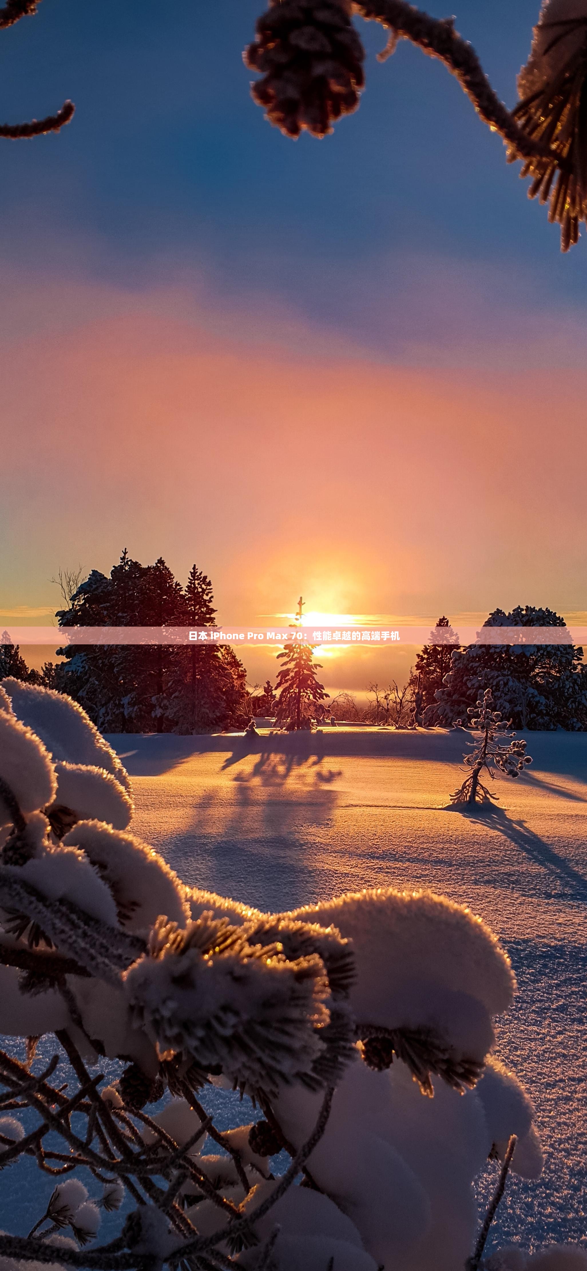 日本 iPhone Pro Max 70：性能卓越的高端手机