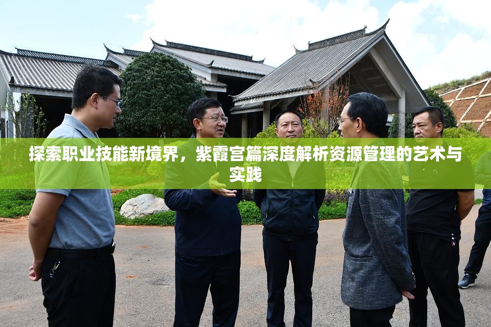 探索职业技能新境界，紫霞宫篇深度解析资源管理的艺术与实践