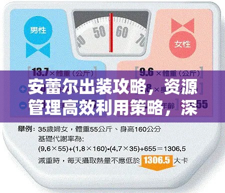 安蕾尔出装攻略，资源管理高效利用策略，深度解析如何避免装备浪费