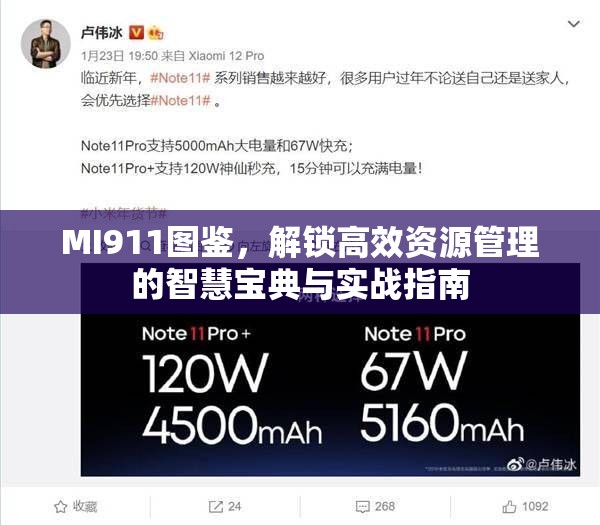 MI911图鉴，解锁高效资源管理的智慧宝典与实战指南