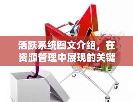 活跃系统图文介绍，在资源管理中展现的关键重要性及高效应用策略