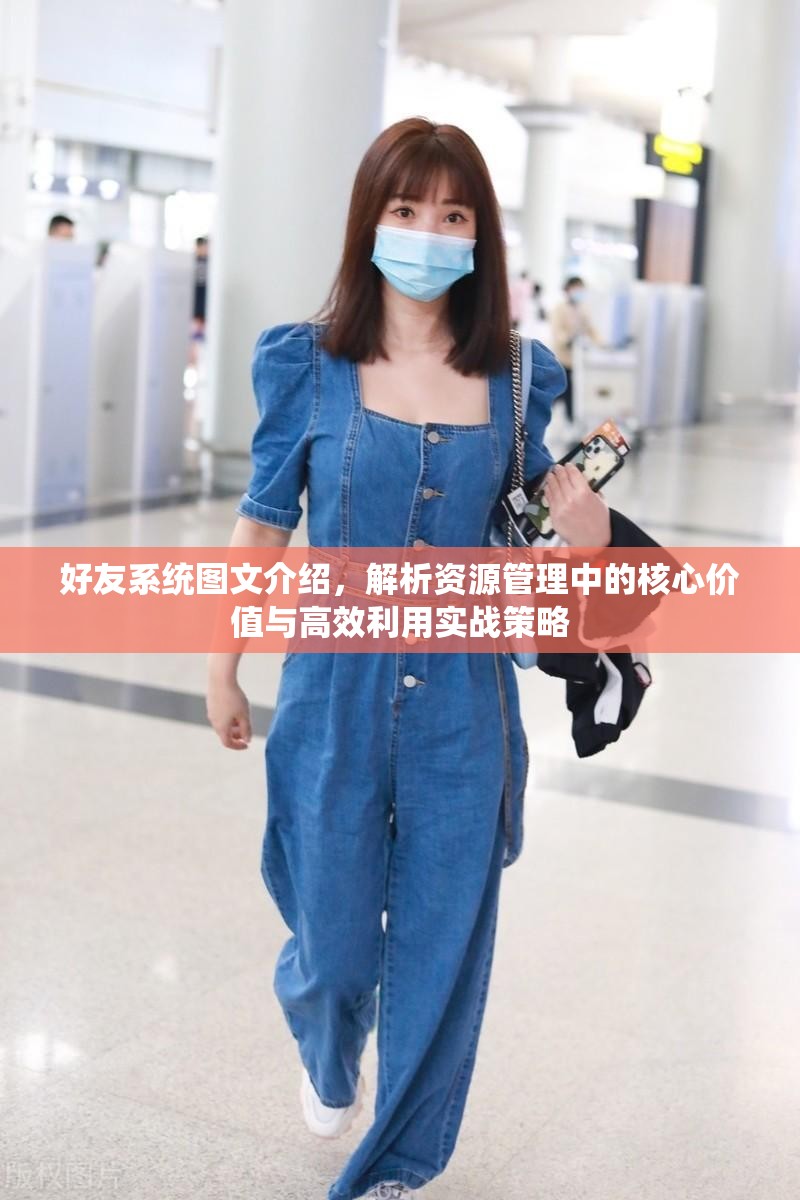 好友系统图文介绍，解析资源管理中的核心价值与高效利用实战策略