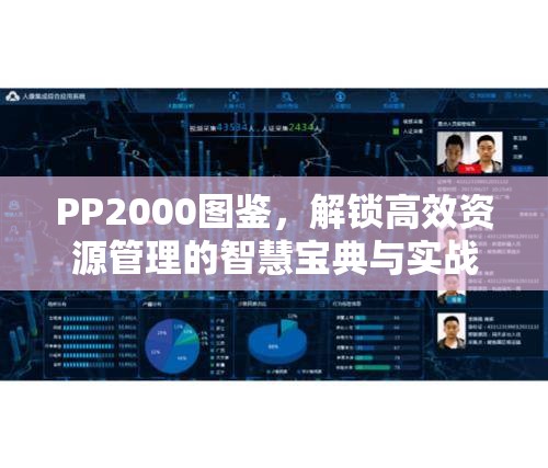 PP2000图鉴，解锁高效资源管理的智慧宝典与实战指南