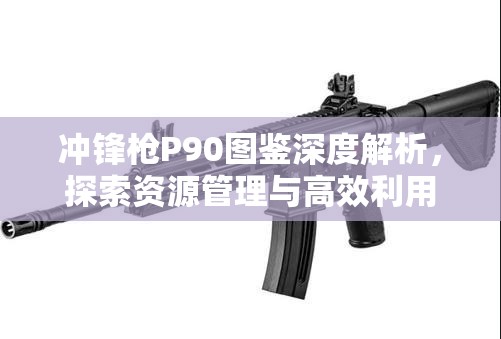冲锋枪P90图鉴深度解析，探索资源管理与高效利用的战斗艺术