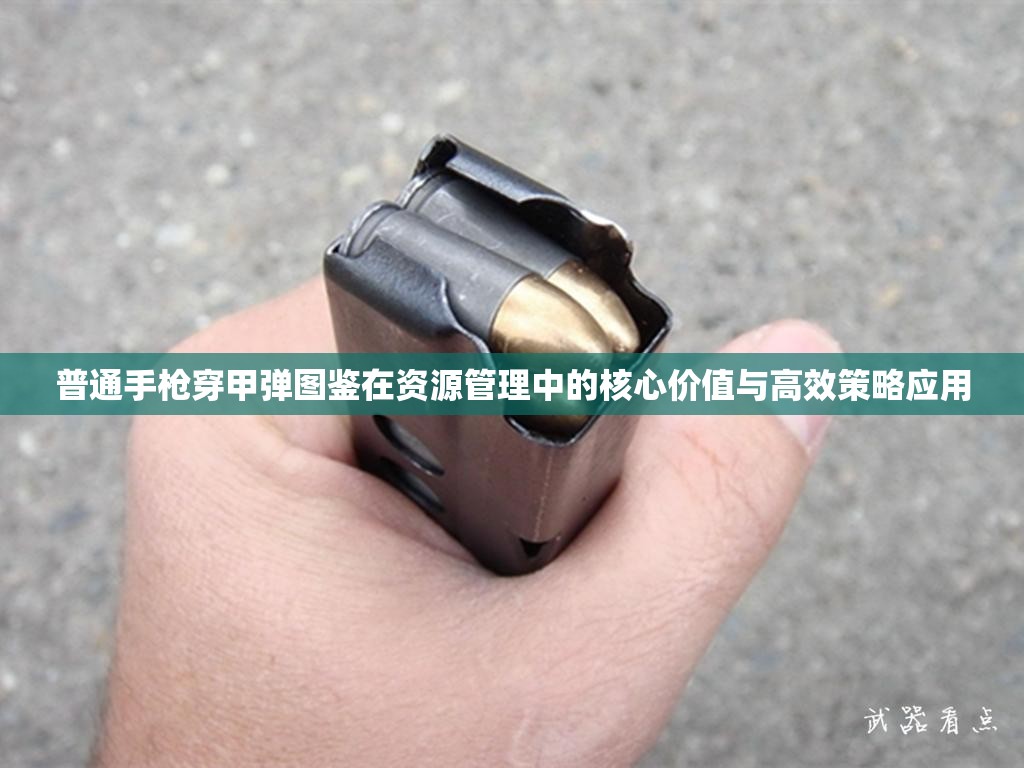 普通手枪穿甲弹图鉴在资源管理中的核心价值与高效策略应用