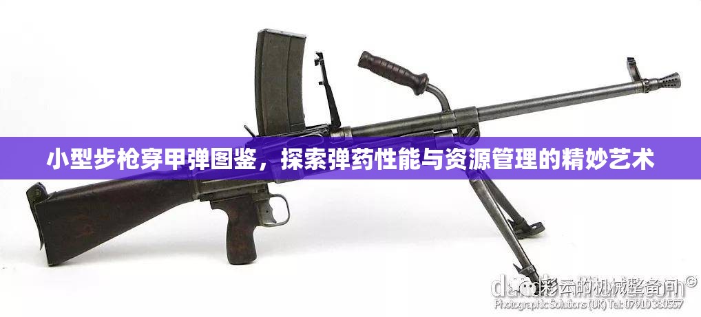小型步枪穿甲弹图鉴，探索弹药性能与资源管理的精妙艺术