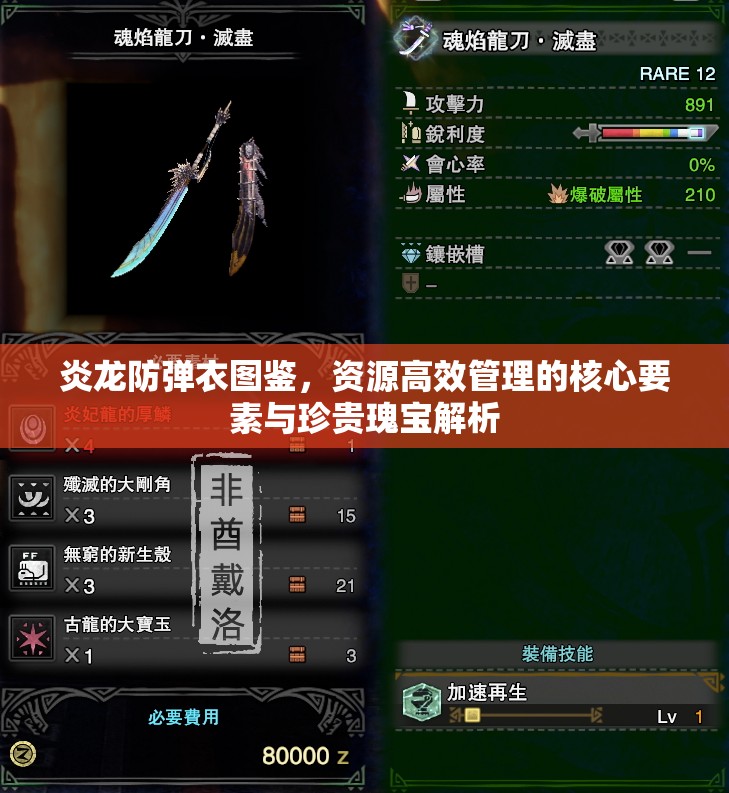 炎龙防弹衣图鉴，资源高效管理的核心要素与珍贵瑰宝解析