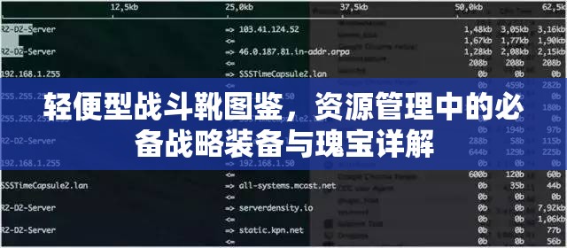 轻便型战斗靴图鉴，资源管理中的必备战略装备与瑰宝详解
